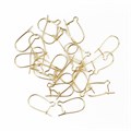 Hookwire & Guard Earwire 13mm Gold Plated Alternative Image