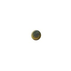 5mm Mother Of Pearl Black Lip Shell Cabochon