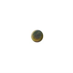 6mm Mother Of Pearl Black Lip Shell Cabochon