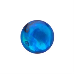 12mm Blue Abalone Low Dome Shell Cabochon