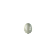10x8mm Special White Moonstone Gemstone Cabochon