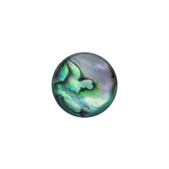 12mm Green Abalone Low Dome Shell Cabochon