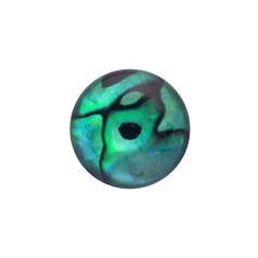 15mm Green Abalone Low Dome Shell Cabochon