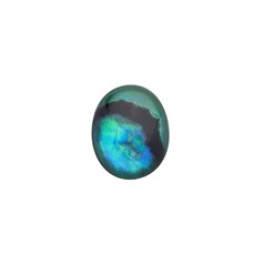10x8mm Green Abalone Low Dome Shell Cabochon