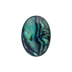 18x13mm Green Abalone Low Dome Shell Cabochon