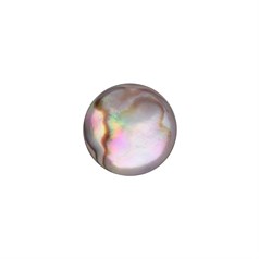 10mm+ Natural Abalone Low Dome Shell Cabochon