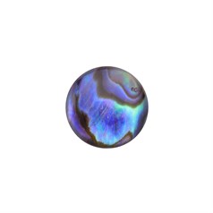 12mm+ Natural Abalone Low Dome Shell Cabochon