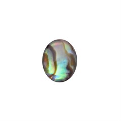10x8mm+ Natural Abalone Low Dome Shell Cabochon