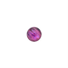 6mm Red Abalone Shell Low Dome Cabochon