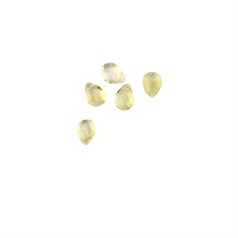 6x8mm Faceted Flat Teardrop Citrine Top Drilled 40cm