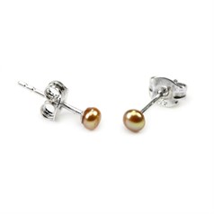 3-3.5mm Button Pearl Stud Earring with Sterling Silver Fittings in Champagne