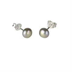 6mm Button Pearl Stud Earring with Sterling Silver Fittings in Silver/Grey