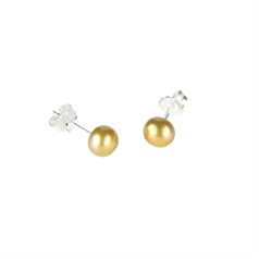 6mm Button Pearl Stud Earring with Sterling Silver Fittings in Champagne